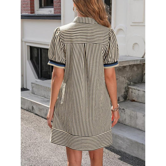 Striped Polo Dress