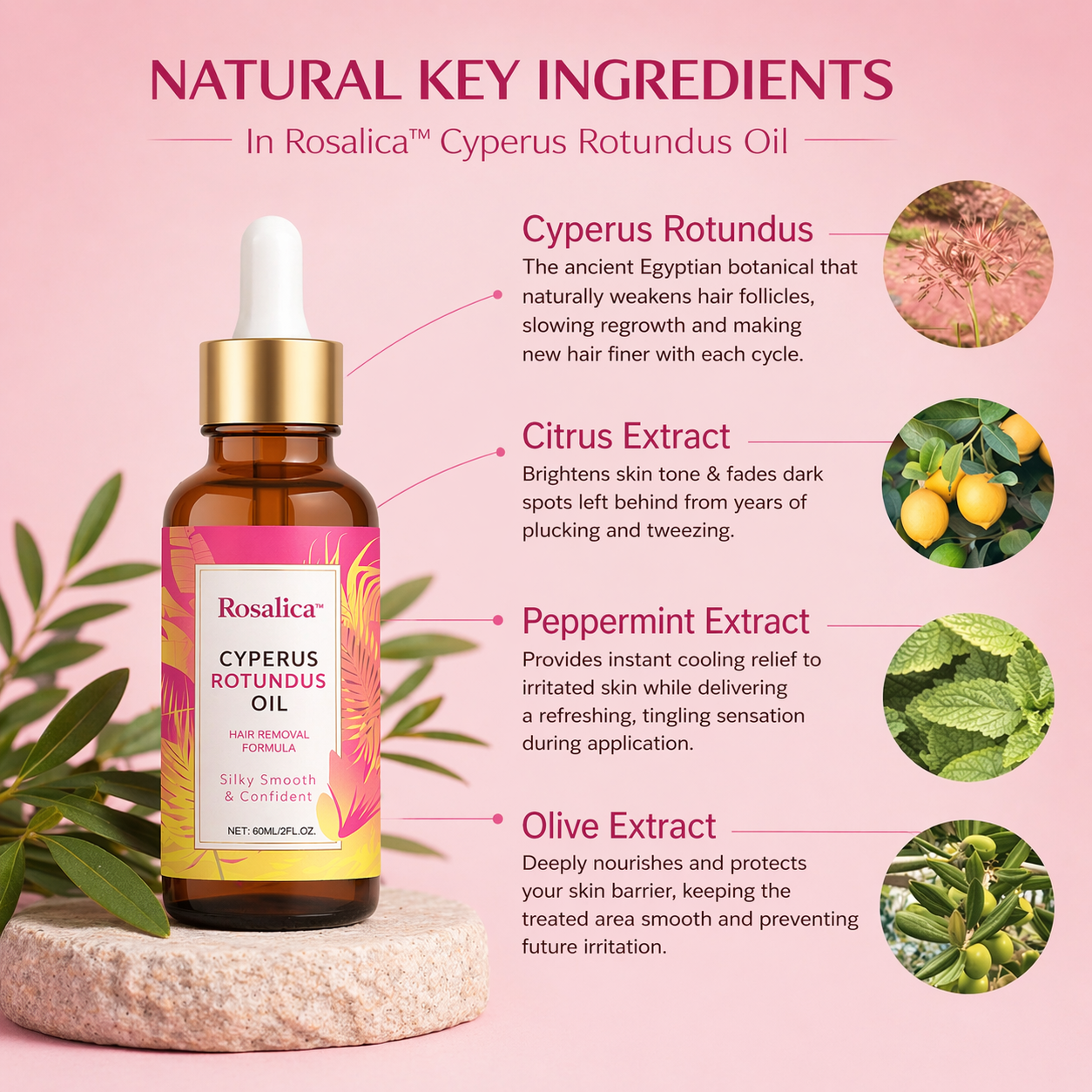 Vorelis™ Cyperus Rotundus Oil